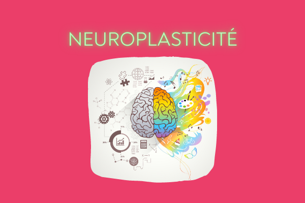 L’importance de la NEUROPLASTICITÉ pour la resignification de croyances.